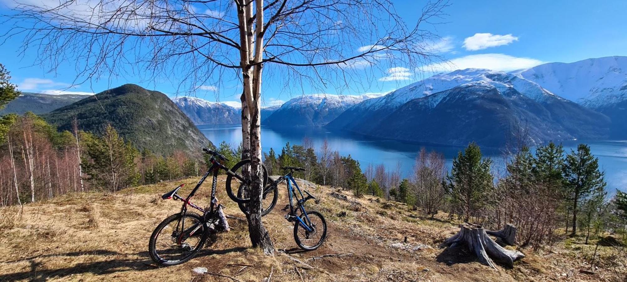Apartment Moderne Cityleilighet Sogndal